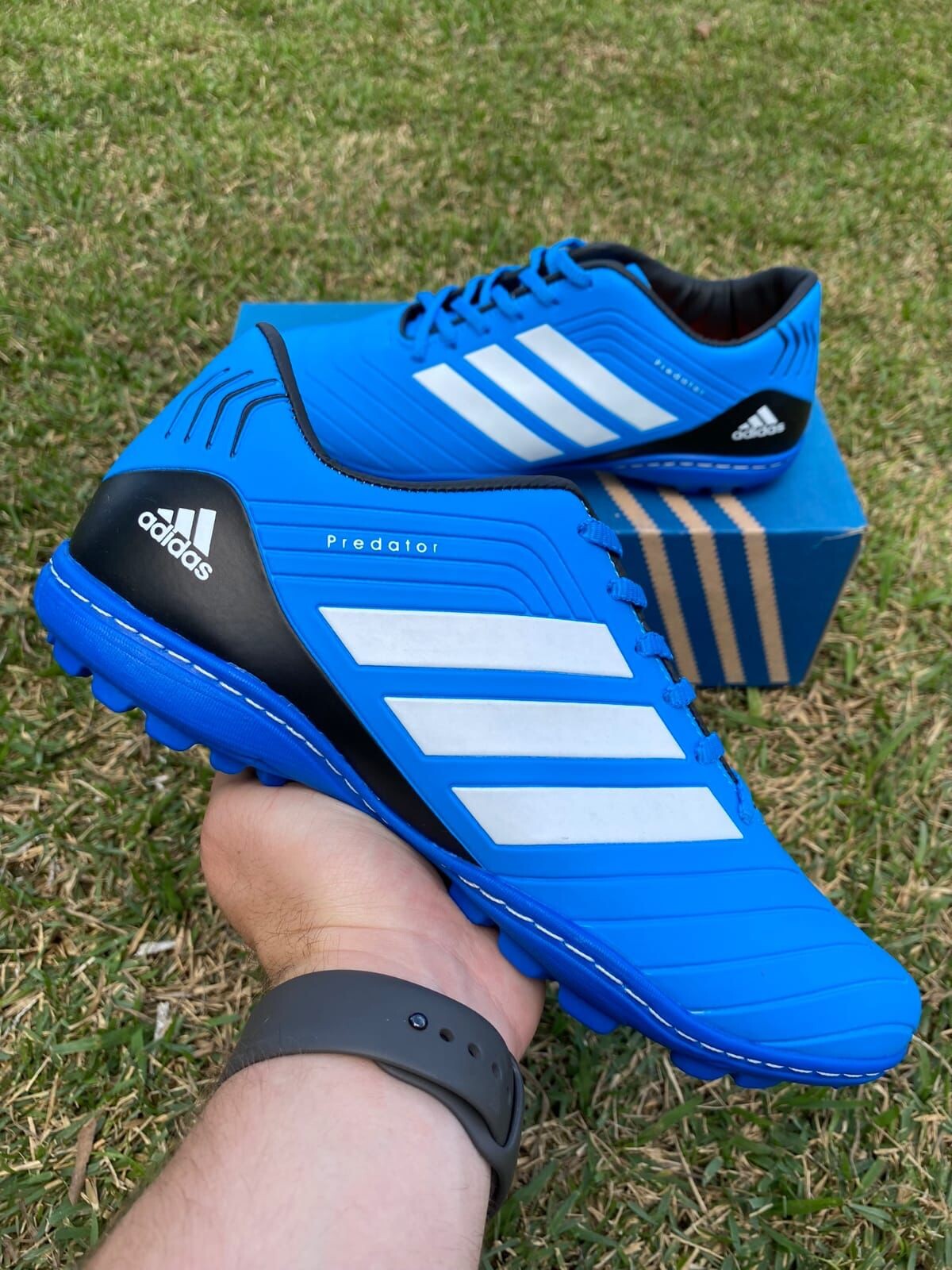 Chuteira society best sale adidas predator azul